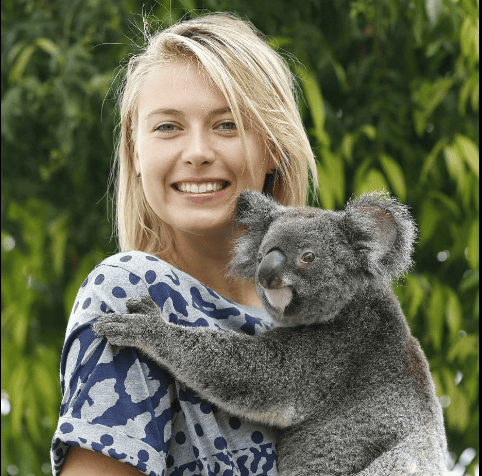 Девушка с коалой